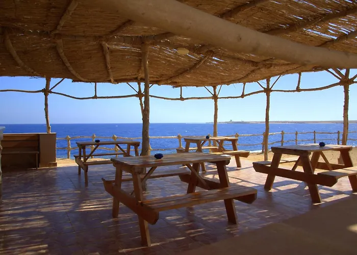 Viva Blue And Diving Sharm El Naga (adults Only) 4* Gurdaka