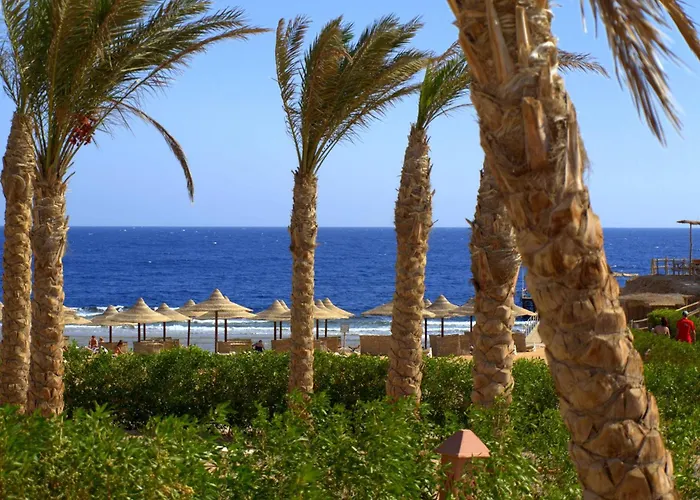 Üdülőközpont Viva Blue And Diving Sharm El Naga (adults Only) 4*