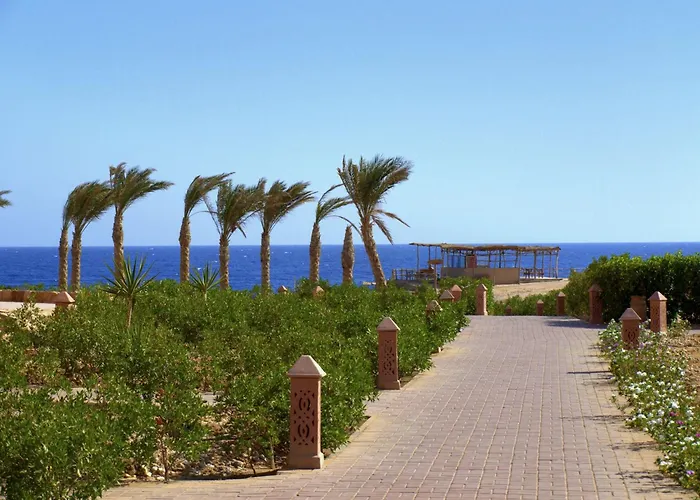 Viva Blue And Diving Sharm El Naga (adults Only) Gurdaka